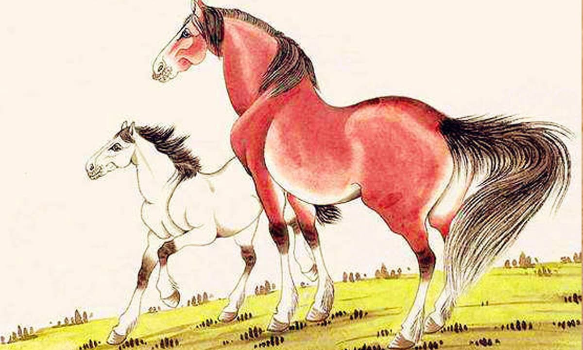 Con giáp này cũng nên bắt tay hợp tác với các nhà sản xuất trong chuỗi cung ứng để đạt được sự hợp tác chia sẻ lợi nhuận, tránh chỉ phụ thuộc vào doanh thu từ quảng cáo.