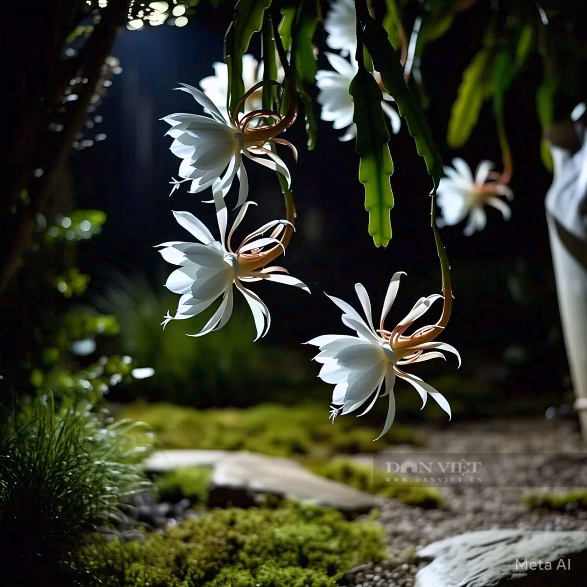 Cây cảnh “tiên hoa”, vẻ đẹp ngắn ngủi nhưng vĩnh hằng - Hình 8 Cay canh “tien hoa”, ve dep ngan ngui nhung vinh hang-Hinh-8