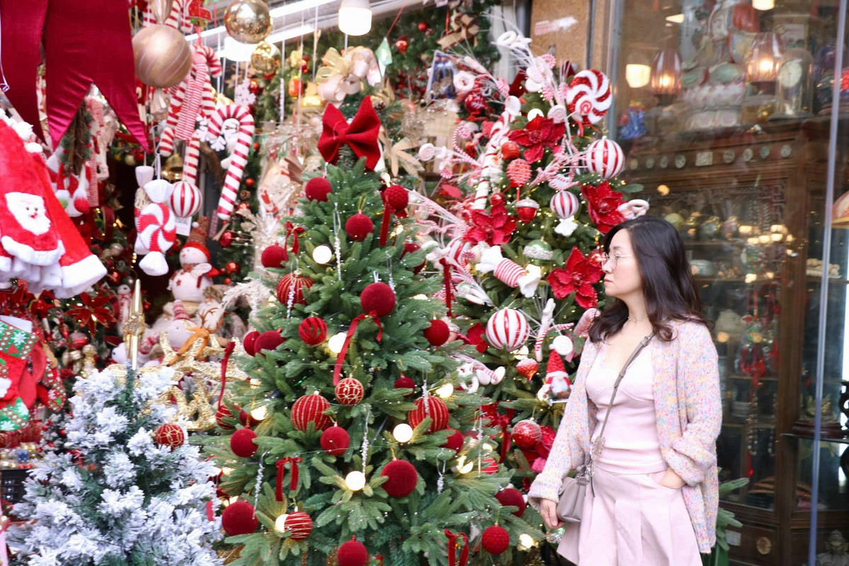Chị Linh cho biết: "Cửa hàng nhà tôi chủ yếu bán cây thông. Có cả loại thông chưa trang trí và có cả cây thông cửa hàng đã trang trí sẵn. Với loại thông cửa hàng đã trang trí, khách mua về chỉ cần trưng bày, không phải thiết kế và mua đồ trang trí mà vẫn có được một cây thông cực đẹp trang trí mùa Noel".