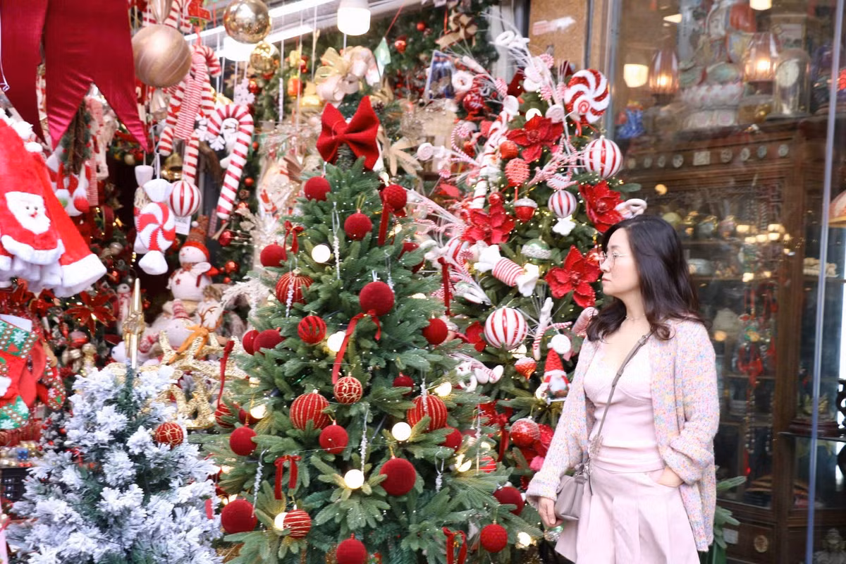 Chị Linh cho biết: "Cửa hàng nhà tôi chủ yếu bán cây thông. Có cả loại thông chưa trang trí và có cả cây thông cửa hàng đã trang trí sẵn. Với loại thông cửa hàng đã trang trí, khách mua về chỉ cần trưng bày, không phải thiết kế và mua đồ trang trí mà vẫn có được một cây thông cực đẹp trang trí mùa Noel".