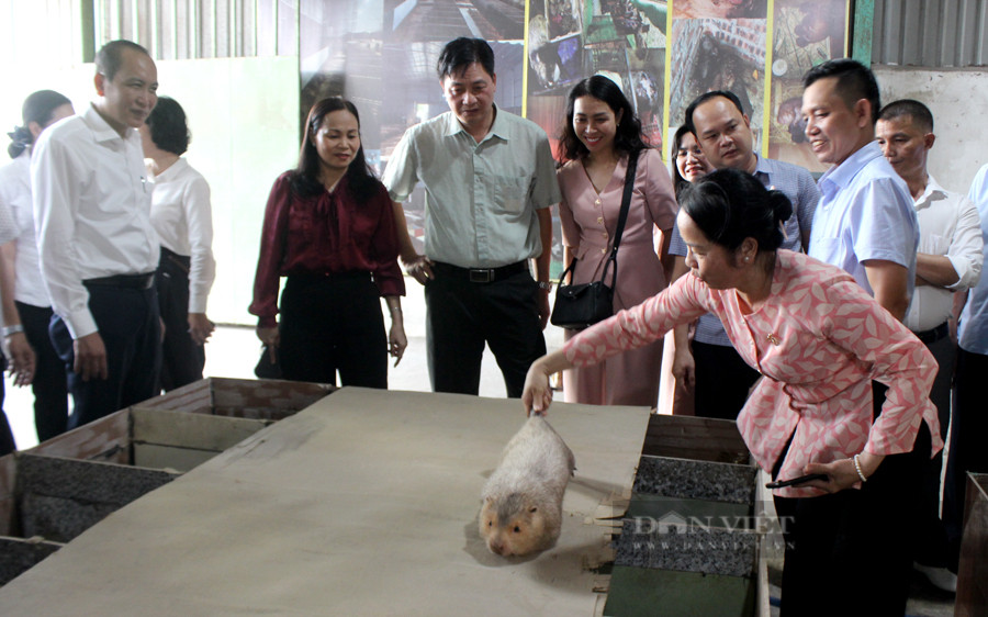 Nong dan Dong Nai lai hon 10 ty/nam nho nuoi con “dac san“-Hinh-3