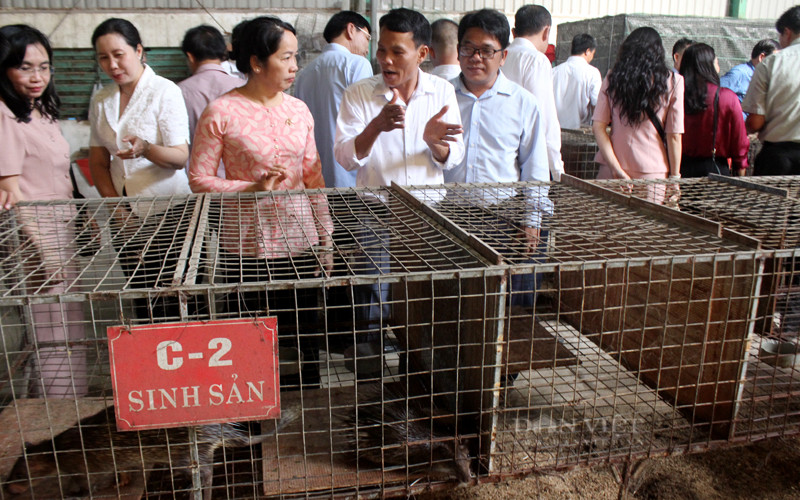 Nong dan Dong Nai lai hon 10 ty/nam nho nuoi con “dac san“-Hinh-10