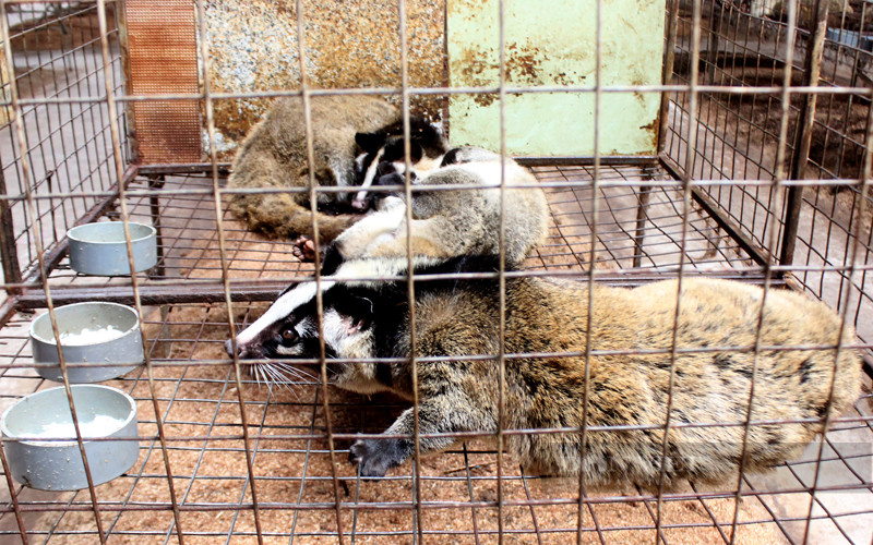 Nong dan Dong Nai lai hon 10 ty/nam nho nuoi con “dac san“-Hinh-5