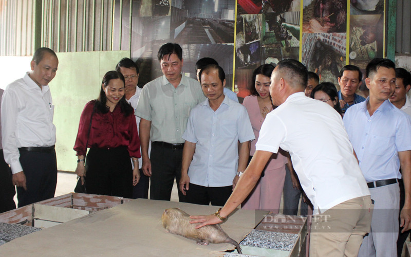 Nong dan Dong Nai lai hon 10 ty/nam nho nuoi con “dac san“