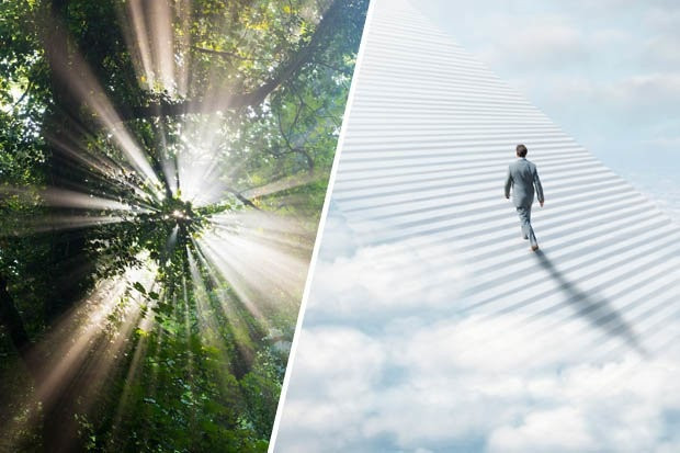 Trạng thái này có thể gây ra ảo giác trong não, khiến con người nhìn thấy những cảnh không tồn tại. Ngoài ra, hoạt động bất thường ở thùy thái dương của não cũng có thể dẫn đến ảo giác về thời gian và không gian cũng như ảo giác nhìn về quá khứ.