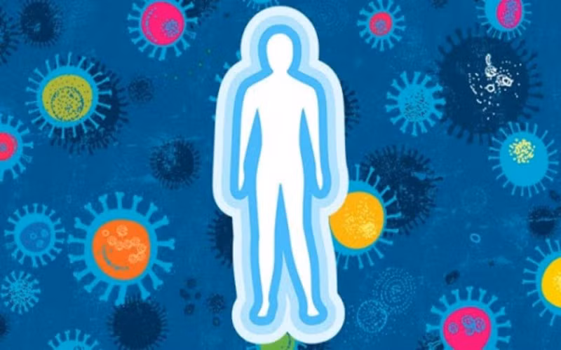 Hệ miễn dịch của bệnh nhân có thể hoạt động quá tải để chống lại sự nhiễm trùng, gây suy yếu hệ miễn dịch.