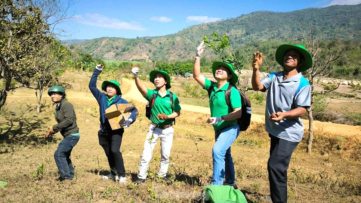 Số bom này sẽ được các bạn gieo tại khu vực thác Liêng Búk Sắc, xã Yang Tao. Khi mùa mưa đến, những hạt giống sẽ nảy mầm, phát triển tự nhiên giữa rừng.