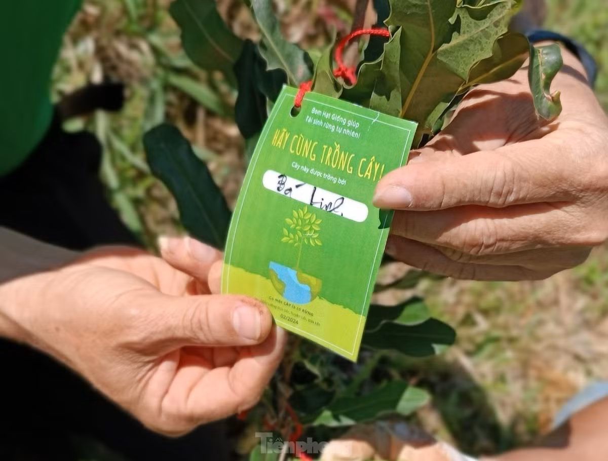 Sau khi trồng, mỗi cây sẽ được các bạn gắn 1 tấm thẻ ghi tên người trồng, thời gian và địa điểm trồng cây.