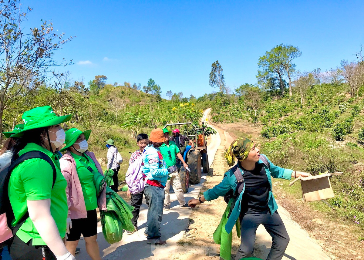 Nhiều bạn trẻ chia sẻ rằng, họ lựa chọn trồng cây xanh và về với thiên nhiên như một liệu pháp chữa lành tâm hồn trước nhịp độ hối hả của cuộc sống.