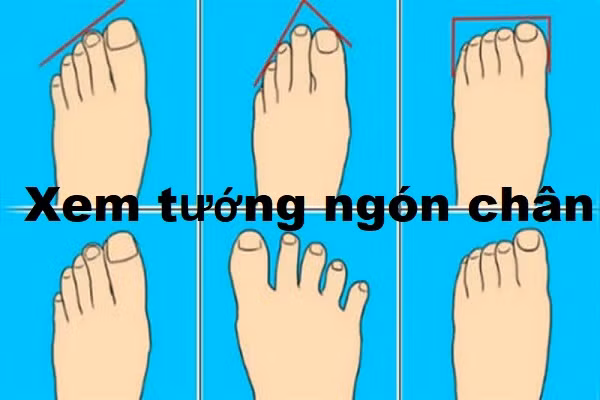 Ngón chân cái dài nhất trong bàn chân. Trong nhân tướng học những người sở hữu bàn chân kèo dài là người luôn để cao sự riêng, thay đổi tâm tính đột ngột đôi khi lại hơi quá nghiêm túc. 