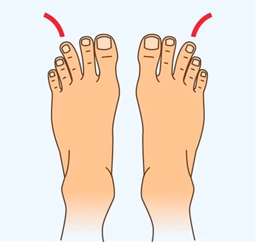 Độ dài của các ngón chân dài đều từ ngón cái xuống. Nếu có bàn chân như vậy, bạn chắc hẳn là người với tính phá cách bẩm sinh. Những người này họ không thích quy tắc, ràng buộc mà luôn tìm sự độc đáo, sáng tạo. 