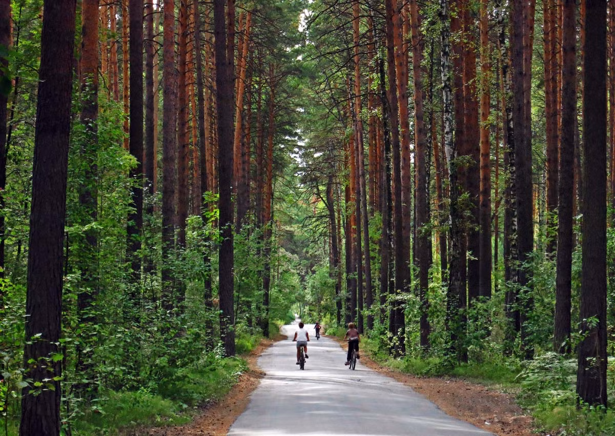 Có nhiều công viên, con đường rợp bóng cây, và không quá náo nhiệt như Moskva hay Saint Petersburg, Novosibirsk là một thành phố lý tưởng cho những người muốn tận hưởng một cuộc sống yên ả. Ảnh: 1nsk.ru.