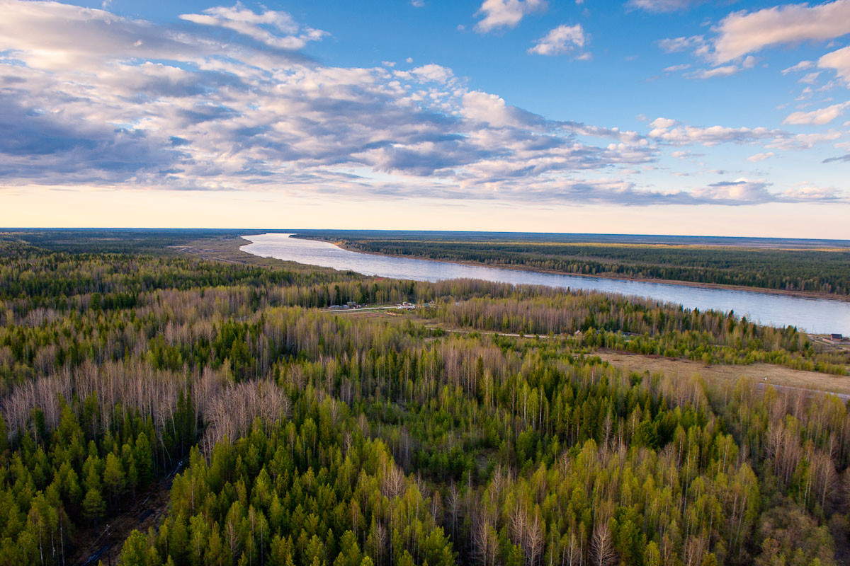 Đặc trưng nổi bật của kiểu rừng này là sự hiện diện của các quần thể cây lá kim sinh trưởng trong khu vực có khí hậu lục địa khắc nghiệt với sự dao động về nhiệt độ rất lớn giữa mùa hè và mùa đông. Ảnh: Posibiri.ru.