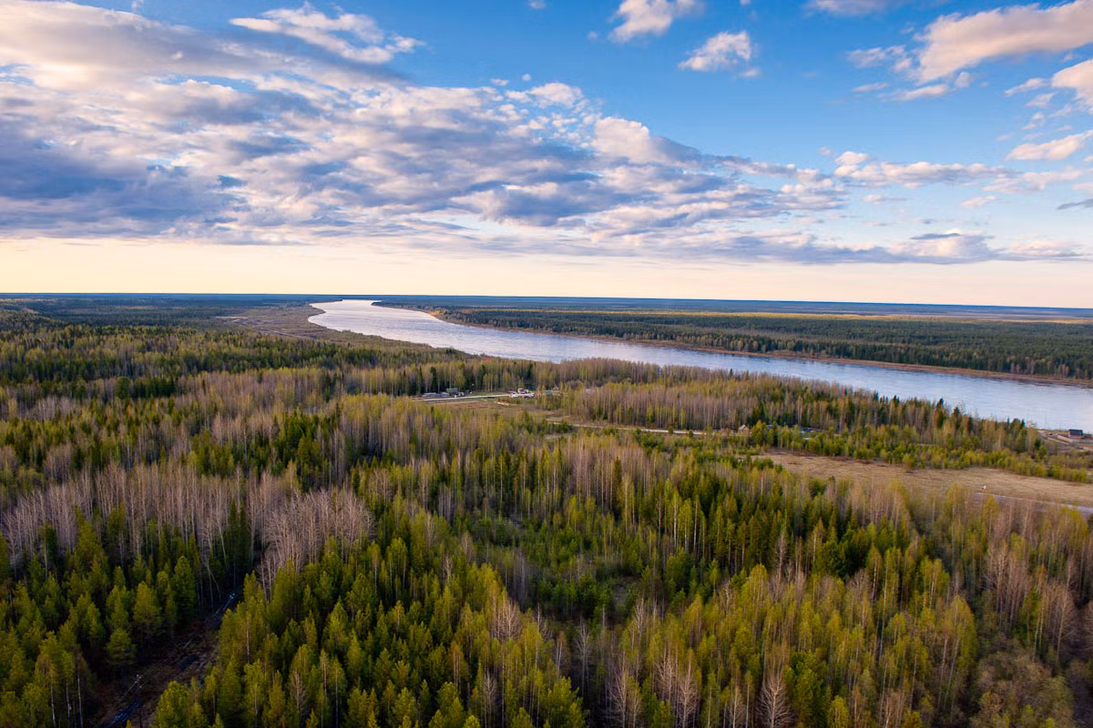 Đặc trưng nổi bật của kiểu rừng này là sự hiện diện của các quần thể cây lá kim sinh trưởng trong khu vực có khí hậu lục địa khắc nghiệt với sự dao động về nhiệt độ rất lớn giữa mùa hè và mùa đông. Ảnh: Posibiri.ru.