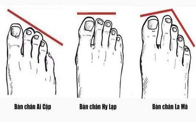 Ngón chân cái ngắn hơn ngón thứ 2 và dài bằng ngón giữa. Trong nhân tướng học thì đôi bàn chân này còn gọi là bàn chân ngọn lửa. Phần lớn những người sở hữu đôi bàn chân này có khả năng nhìn xa trông rộng nhưng lại dễ bị người khác hiểu làm.