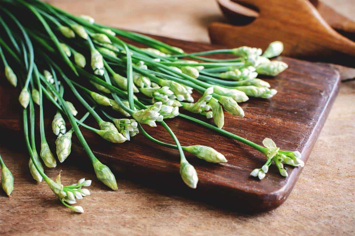 Hẹ (Allium ramosum) mọc phổ biến ở Trung Á và Đông Á, là nguyên liệu quan trọng trong nhiều món ăn của Trung Quốc và Mông Cổ. Mùi vị của nó được cho là trung gian giữa tỏi và hành tăm.