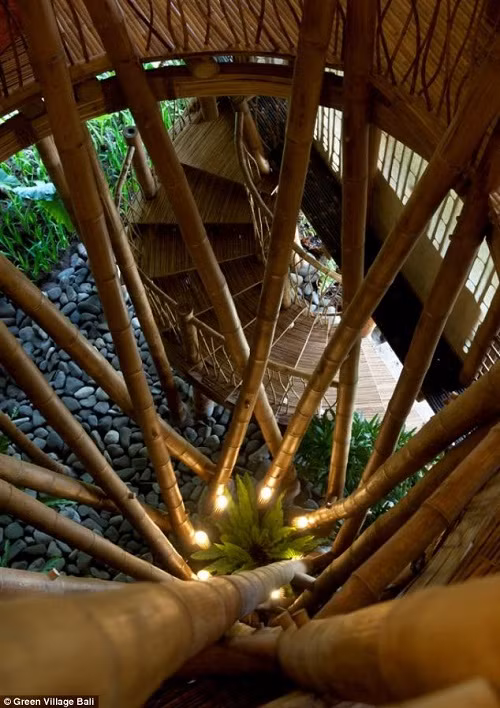 Nữ thiết kế Elora Hardy đã chứng minh rằng mình có thể xây được khách sạn từ các vật liệu có sẵn trong thiên nhiên.