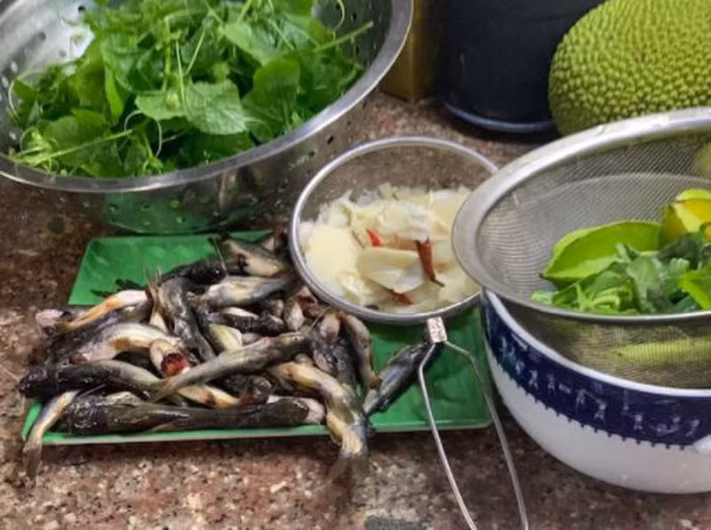 Mua nuoc lut bat ca nganh o mien Trung que toi-Hinh-4