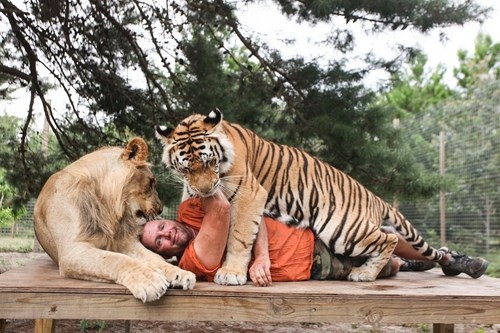 Ông Carl từng nhiều lần bị những con vật cưng tấn công vào vai, cổ, nhưng điều đó không khiến ông từ bỏ chúng.