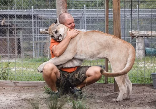 Các tổ chức bảo vệ động vật địa phương khuyên ông Carl giao nộp những con vật và trả chúng về thiên nhiên, nhưng ông cho rằng mình đang giúp đỡ chúng có được một ngôi nhà.