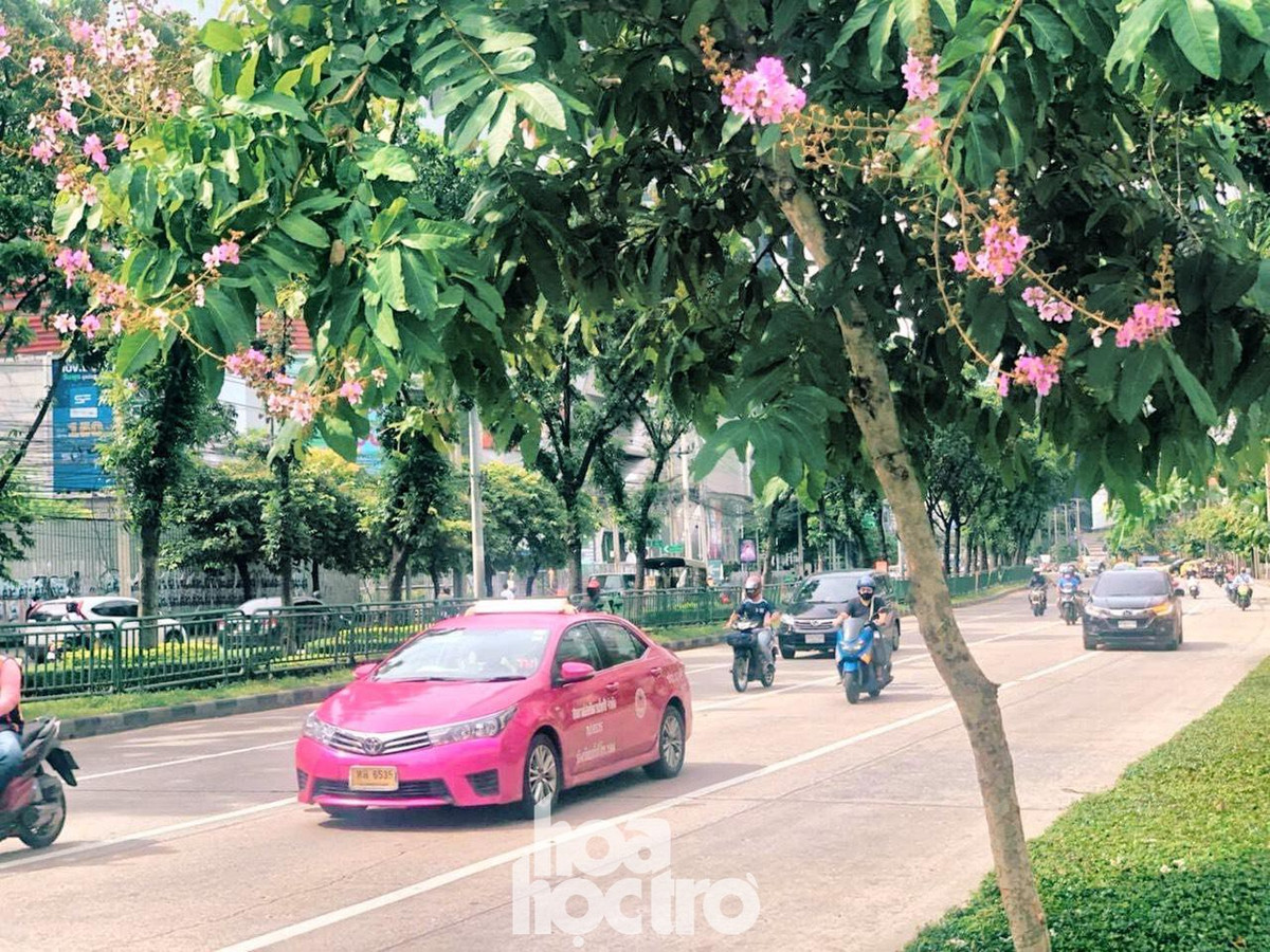 Bangkok “song chung voi dich“: Quan an via he mo lai, trung tam thuong mai cang bien sale-Hinh-7