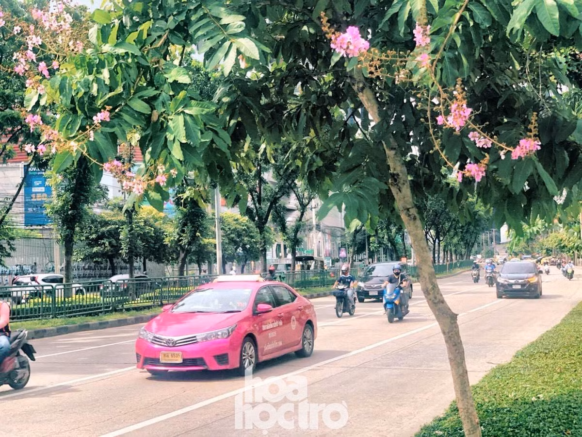 Bangkok “song chung voi dich“: Quan an via he mo lai, trung tam thuong mai cang bien sale-Hinh-7