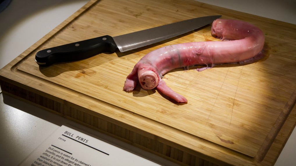  Pín bò: Món ăn này từng được trưng bày trong bảo tàng Những món ăn kinh dị và thu hút được sự quan tâm. Một số quốc gia châu Á quan niệm rằng thực phẩm này giúp nam giới tăng cường bản lĩnh, dù chưa có nghiên cứu chính thức nào khẳng định điều này. Ảnh: Themanual.