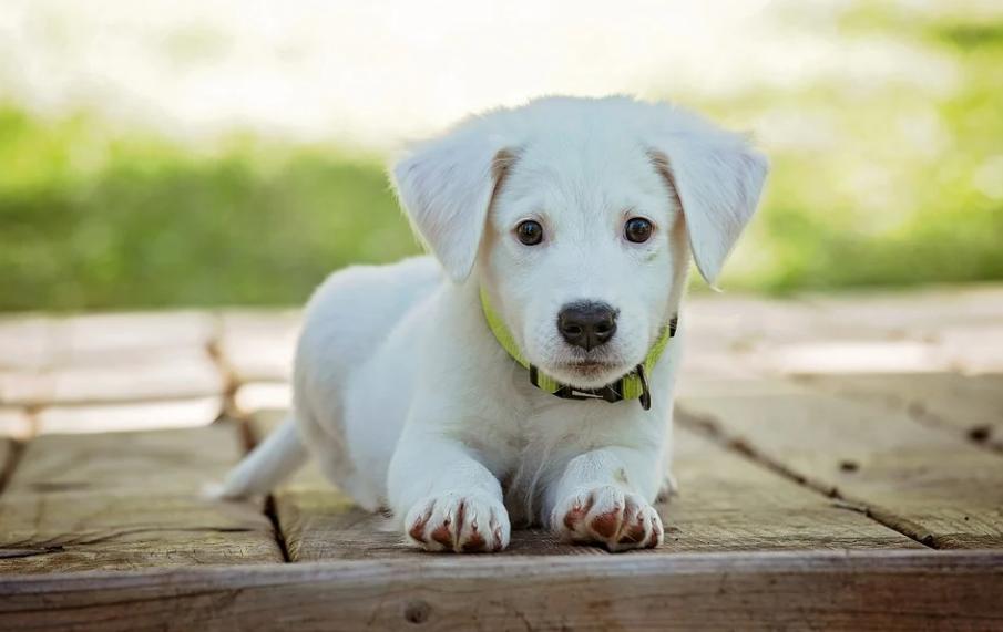 Thang 9 sang, 3 con giap vuot moi gian nan, khoi sac tung ngay-Hinh-2