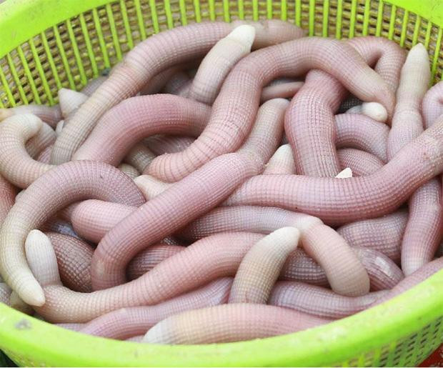 Ban moi an dac san nhung tu choi, co gai hoi han suot doi-Hinh-2