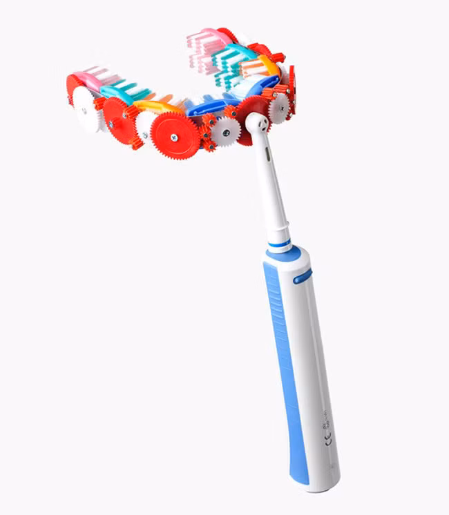 Bàn chải đánh răng độc đáo.
