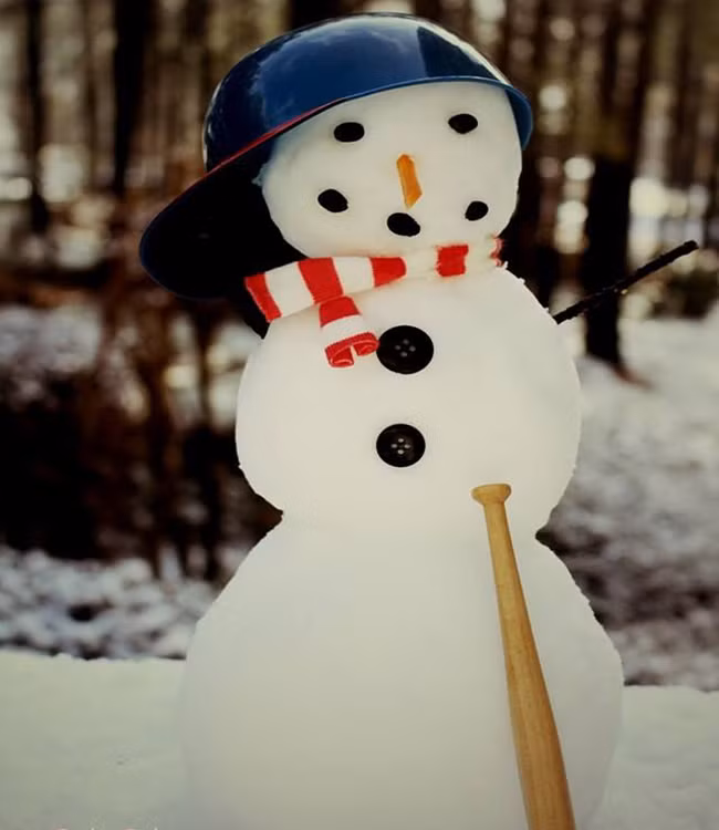 Một cầu thủ bóng chày.