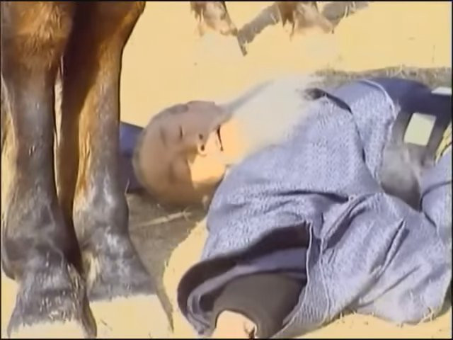 Tư đồ Vương Lãng không chịu nổi những lời mắng nhiếc của Gia Cát Lượng, đã tức khí mà chết.