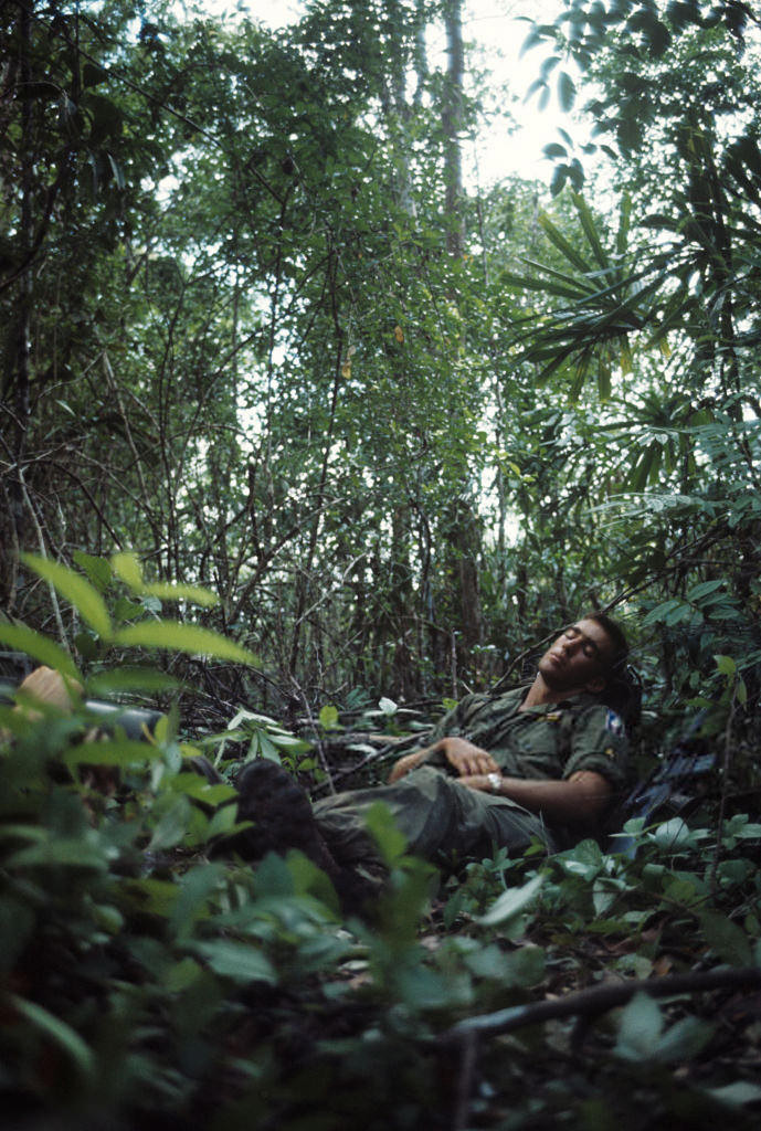 Giấc ngủ trong rừng rậm. Ảnh: Jean-Claude Sauer.