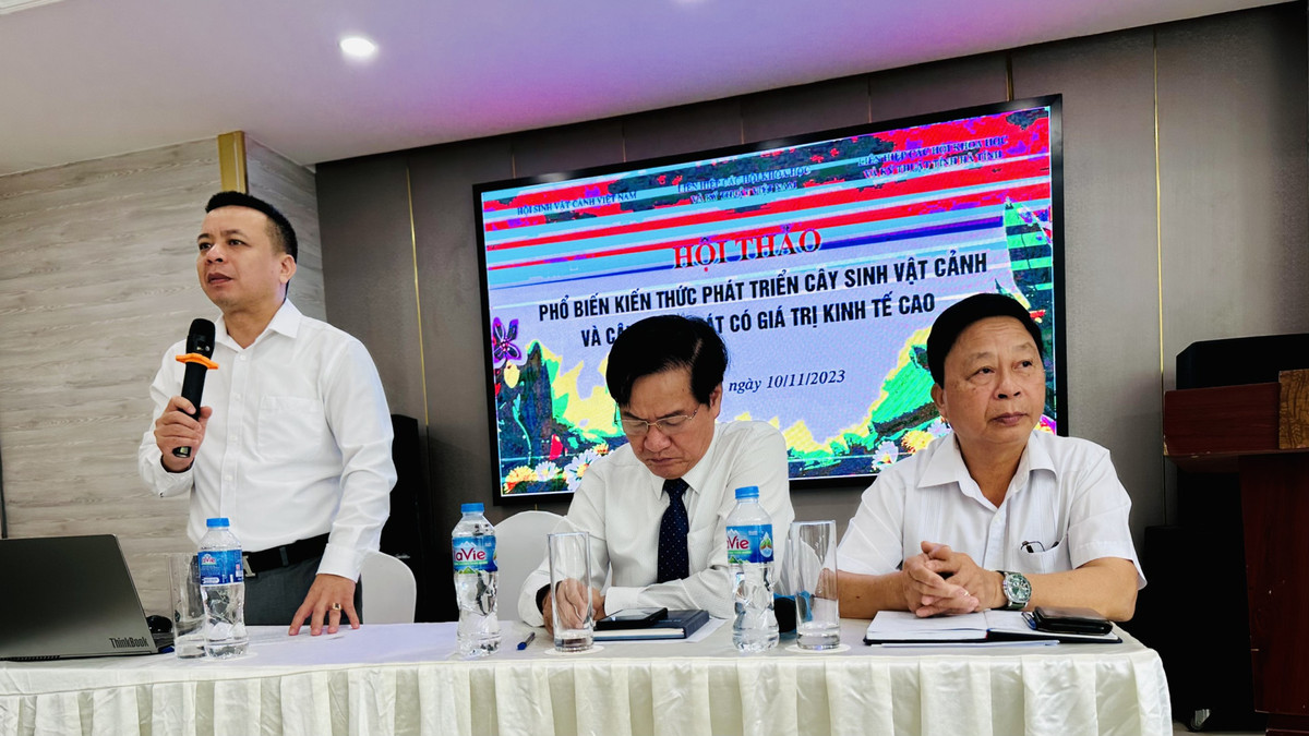 Pho bien kien thuc phat trien cay canh va cay bong mat co gia tri kinh te cao-Hinh-3