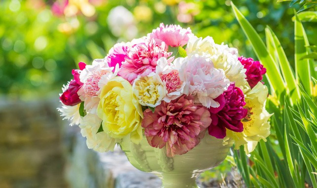 Ai sinh ngày Âm lịch này trưởng thành trong khó khăn, trung niên ắt giàu có - Hình 3 Ai sinh ngay Am lich nay truong thanh trong kho khan, trung nien at giau co-Hinh-3