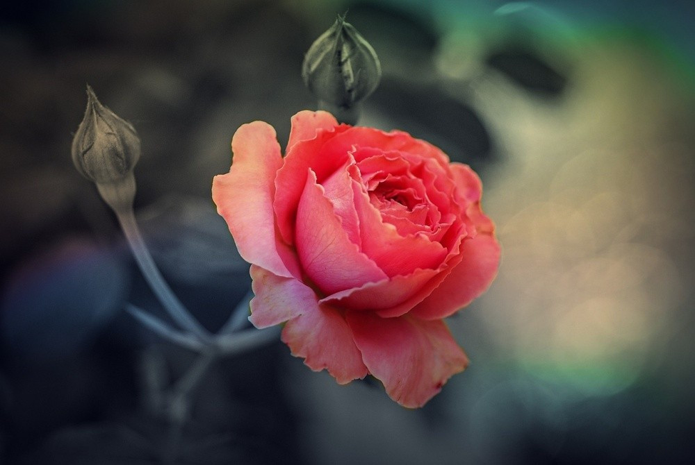 Ai sinh ngày Âm lịch này trưởng thành trong khó khăn, trung niên ắt giàu có - Hình 2 Ai sinh ngay Am lich nay truong thanh trong kho khan, trung nien at giau co-Hinh-2