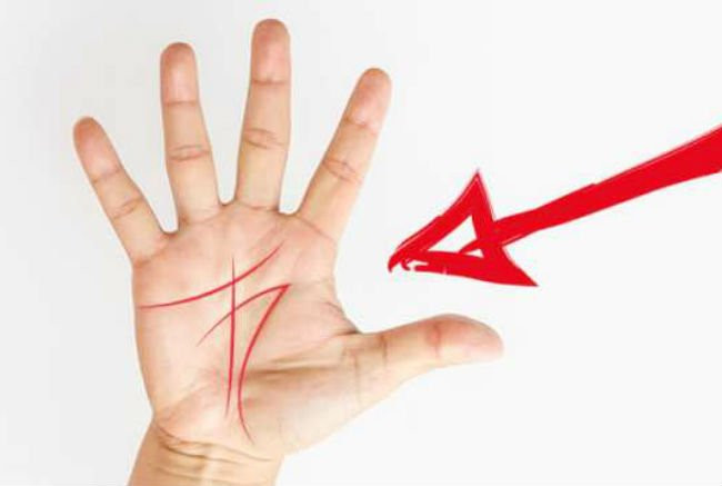 Mot nguoi dan ong so huu 4 tuong tay nay ca doi giau sang-Hinh-2