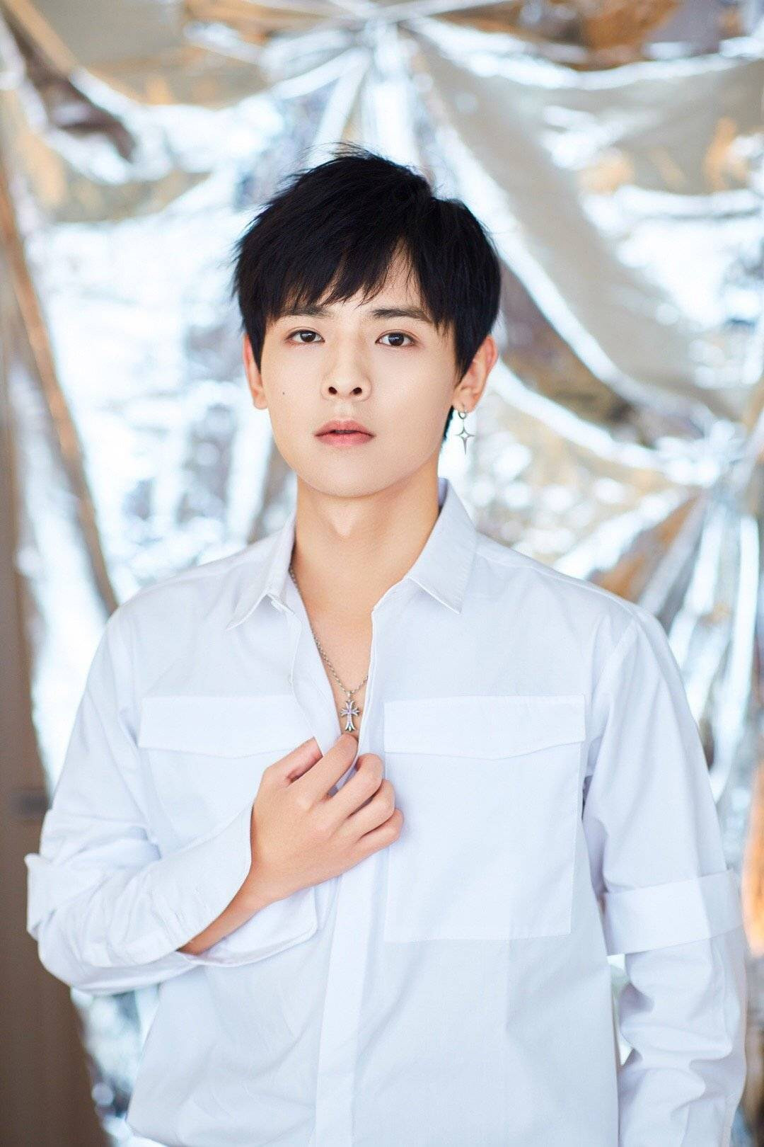 Theo 163, Bạch Chú có khuôn mặt sáng, điển trai, diễn xuất ổn, song anh cần một vai diễn đột phá để nâng cao danh tiếng. Và Đoàn Dự trong tiểu thuyết kiếm hiệp của Kim Dung là cơ hội vàng cho nam diễn viên. Trái với mong đợi của khán giả, anh gây thất vọng lớn. Sự non nớt trong diễn xuất, không đủ sức thể hiện chuyển biến tâm lý nhân vật, thiếu kinh nghiệm diễn chính khiến Bạch Chú trở thành gánh nặng cho dự án.