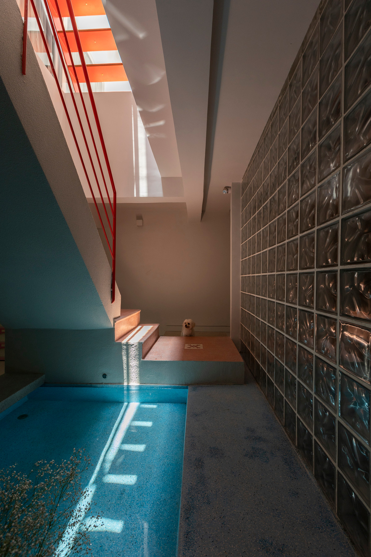 Ngoi nha su dung gio troi va anh sang tu nhien de tiet kiem dien nang-Hinh-14