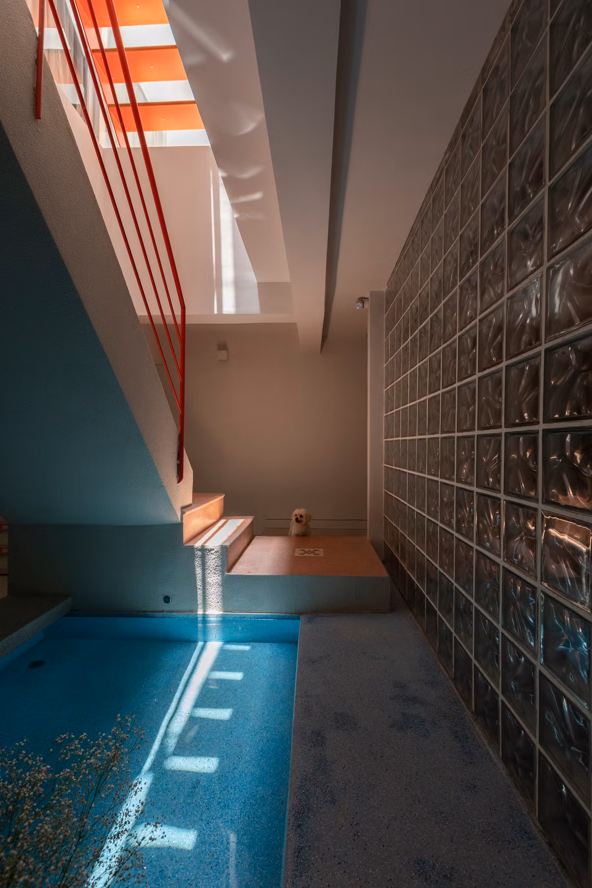 Ngoi nha su dung gio troi va anh sang tu nhien de tiet kiem dien nang-Hinh-14