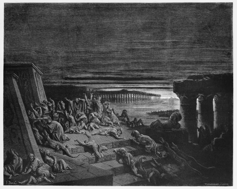 "...Điều này khiến người bệnh suy yếu dần dần và cuối cùng là kiệt sức và dẫn tới tử vong".