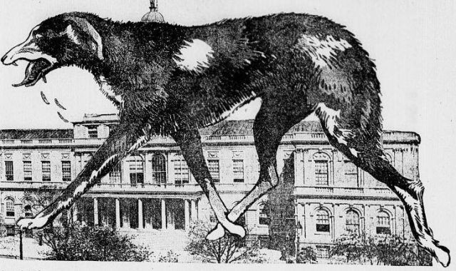 Bệnh lây truyền chủ yếu do các chất tiết bị nhiễm, thường do vết cắn, vết liếm của động vật mắc bệnh dại khác, kể cả con người. Chó là động vật truyền bệnh dại phổ biến nhất.