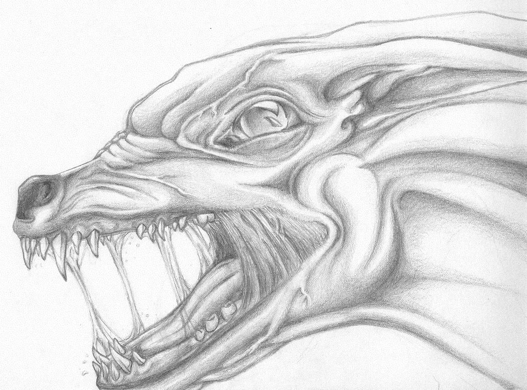 Khi nền y học chưa phát triển, bệnh dại được ví như là "lời nguyền của quỷ dữ", khi gần như biến con người thành một dạng "xác sống". Người bị nhiễm chắc chắn sẽ chết trong vòng vài ngày tới vài tuần.