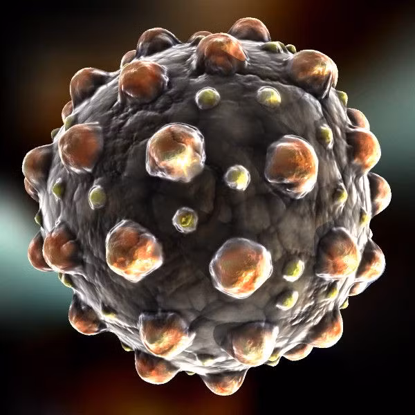 Cho đến nay, giới nghiên cứu chưa thể khẳng định đại bệnh đã xảy ra ở Athens là dịch bệnh. Những triệu chứng của dịch cho thấy đó có thể là bệnh đậu mùa, sởi, sốt phát ban...