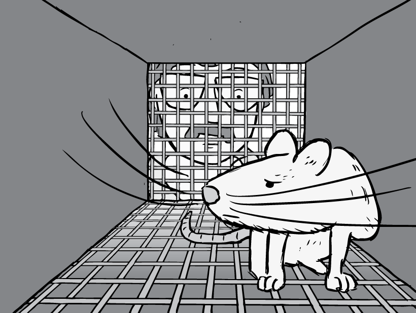 Vụ việc diễn ra trong khoảng thời gian các bệnh tình dục là mối đe dọa lớn cho sức khỏe con người. Các tù nhân ở Guatemala không biết thông tin về dự án. Họ bị biến thành “chuột bạch” ngoài ý muốn.