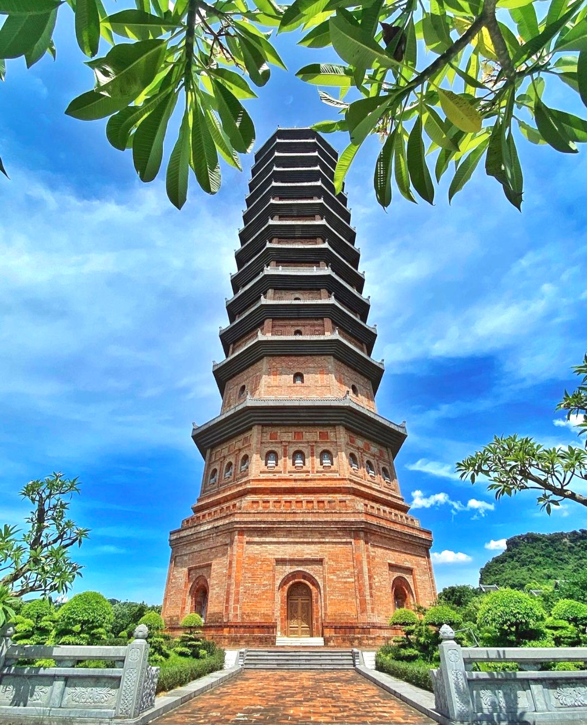 Không chỉ có kiến trúc đồ sộ, những pho tượng uy nghi cùng cảnh quan hùng vĩ, chùa Bái Đính cũng là khu chùa có số cây bồ đề nhiều nhất nước ta. Dịp Đại lễ Phật đản Liên Hợp Quốc tại Việt Nam vào ngày 17/5/2008, chùa đã trồng 100 cây bồ đề, chiết từ gốc bồ đề Ấn Độ. Số cây này hiện nay đã lên đến hàng nghìn cây mọc xung quanh chùa. Không gian nơi đây tựa chốn bồng lai tiên cảnh, mang lại cảm giác thanh tịnh và yên bình. Ảnh: Thuongdinh97.