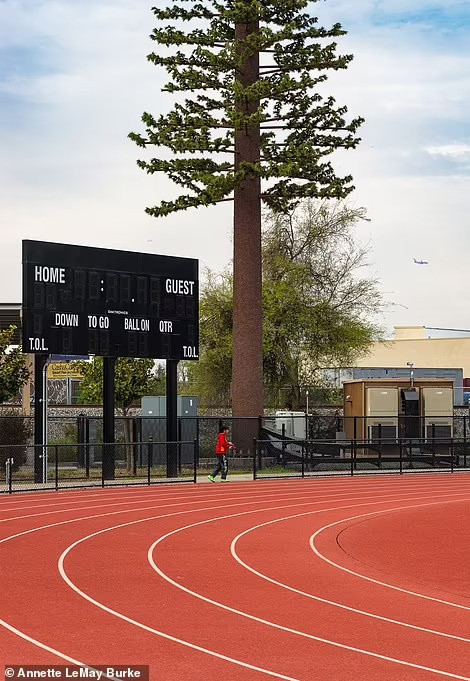 Những hình ảnh "ngụy trang" tinh vi được Burke chụp lại. Theo nhiếp ảnh gia này, trạm thu phát sóng di động "ngụy trang" lần đầu xuất hiện tại Denver, Colorado vào năm 1992. Kể từ đó, chúng xuất hiện ở nhiều nơi hơn. Kinh phí cho những "lớp áo" cũng ngày một đắt, tùy thuộc vào độ chân thật trong thiết kế.