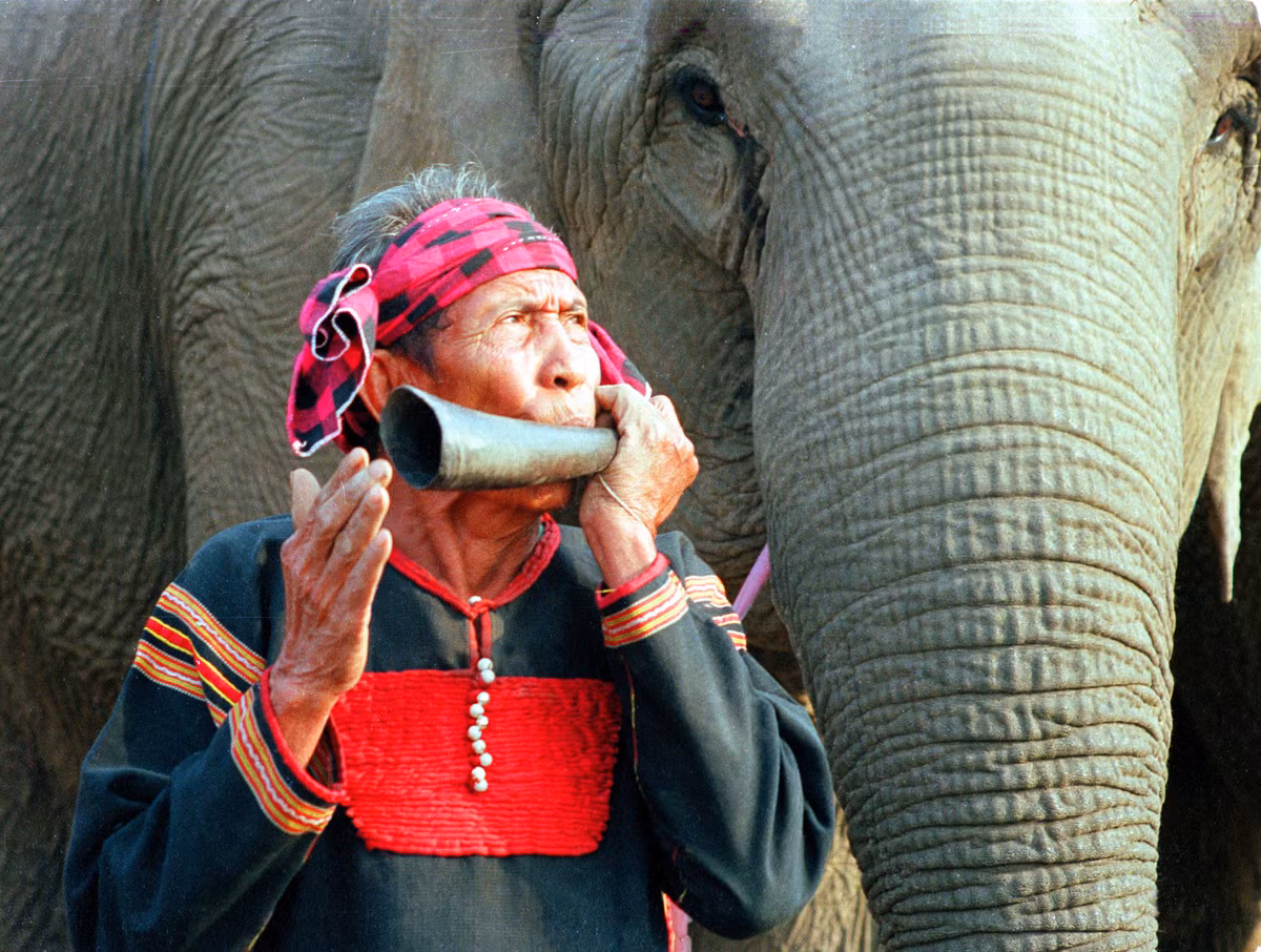 Buôn Đôn, hay Bản Đôn trước đây, nổi tiếng với nghề săn bắt, thuần dưỡng voi rừng, tạo nên nét bản sắc văn hóa rất độc đáo. Tiếng tăm của những người làm nghề này một thời được truyền tụng khắp nơi. Ngày nay, voi được bảo tồn theo chính sách của nhà nước. Đến Buôn Đôn, du khách có thể tìm hiểu về "vua voi" Y Thu - Khunjunôp và người cháu nối ngôi Ama Kông đã trở thành huyền thoại của vùng đất này. Ảnh: Báo Đắk Lắk.