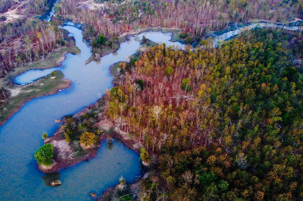 Vườn quốc gia Yok Đôn nằm trên địa phận 3 huyện Buôn Đôn, Ea Súp (Đắk Lắk) và Cư Jút (Đắk Nông), trong đó huyện Buôn Đôn là nơi đặt trụ sở ban quản lý vườn. Theo thông tin giới thiệu, đây là vườn quốc gia bảo tồn các khu rừng khộp duy nhất ở Việt Nam, tức rừng thưa lá rộng rụng lá theo mùa. Ảnh: Vinh Gấu.