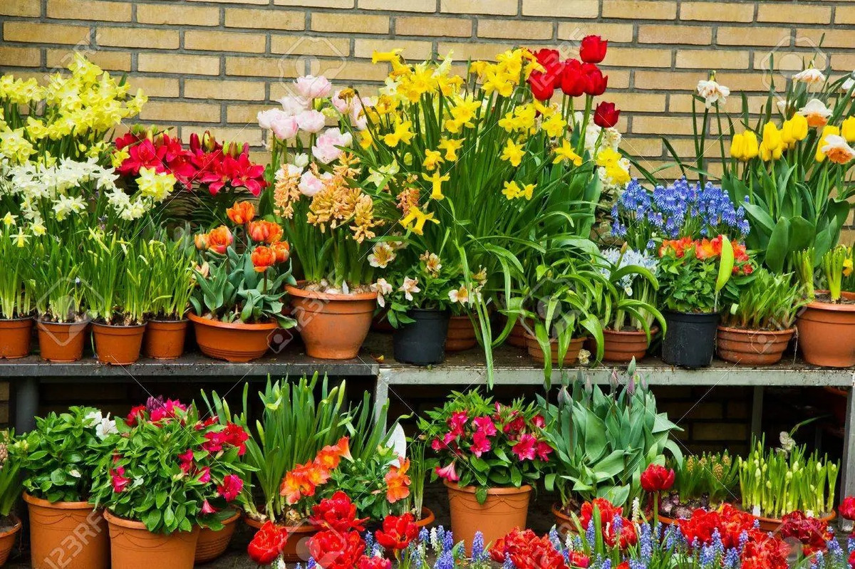 Sinh vào 6 ngày Âm lịch, hưởng trọn lộc trời, càng về già càng có phúc - Hình 3 Sinh vao 6 ngay Am lich, huong tron loc troi, cang ve gia cang co phuc-Hinh-3